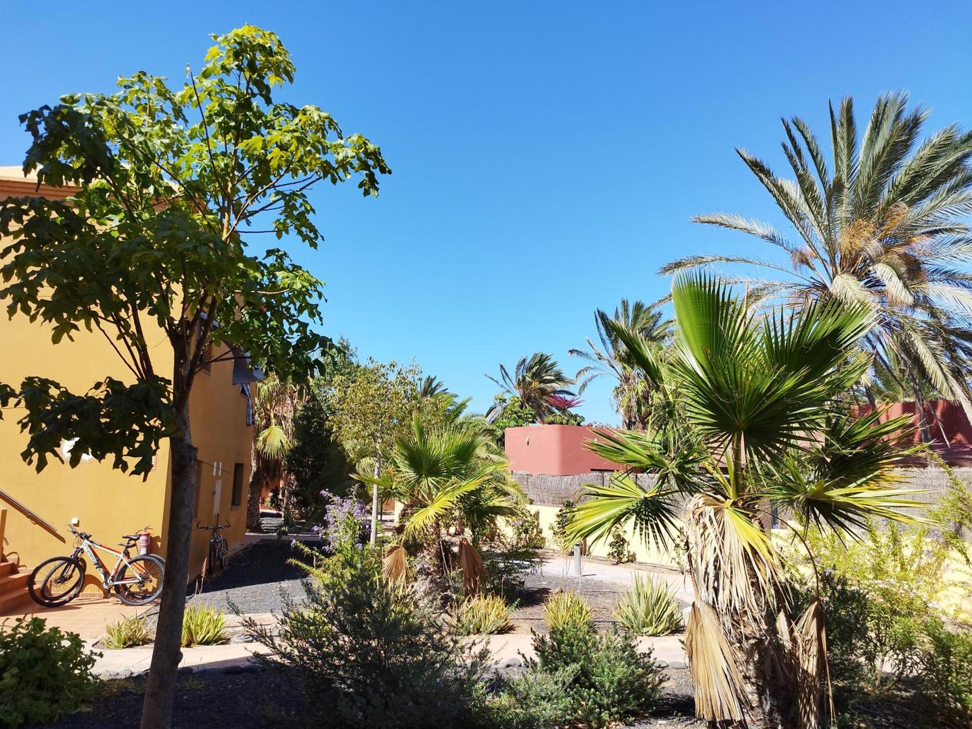 Cozy Apartment In Tamarindo 2 Κοραλέχο Εξωτερικό φωτογραφία